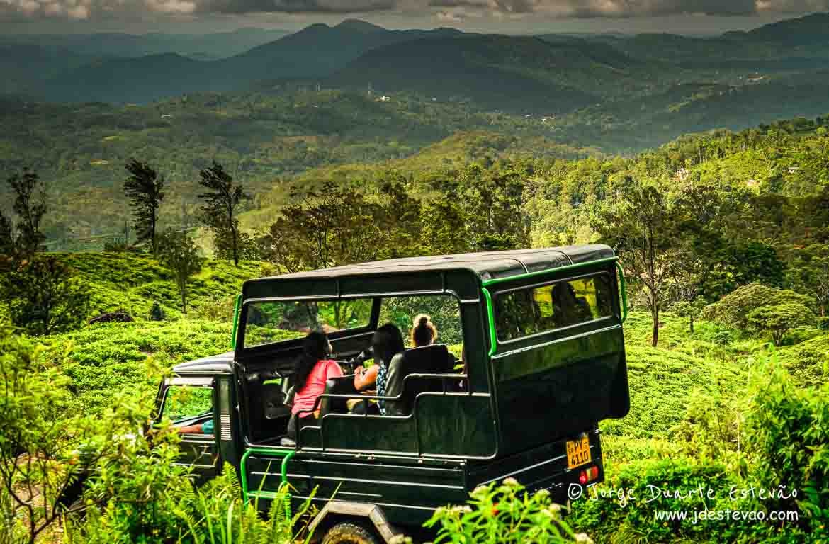Wilpattu Leopard Safari Expedition